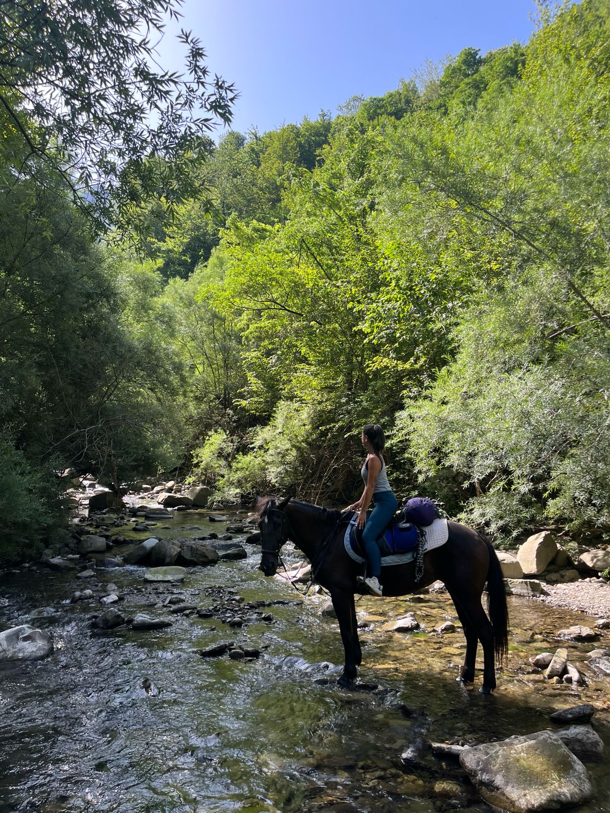 Alice crossing the river